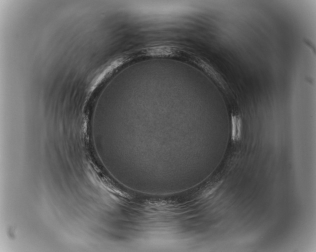 X0000100400723200806131013