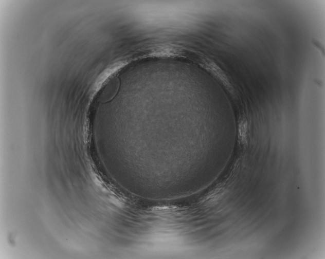 X0000100400724200806131013
