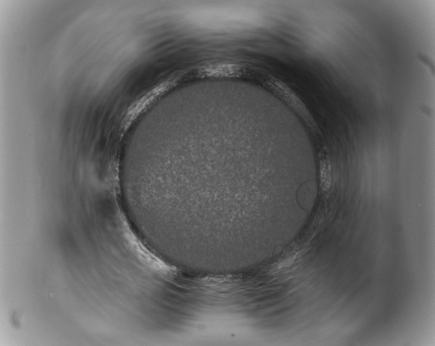 X0000100400725200806131013
