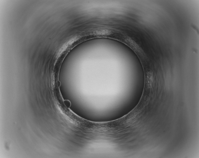 X0000100400726200806131013