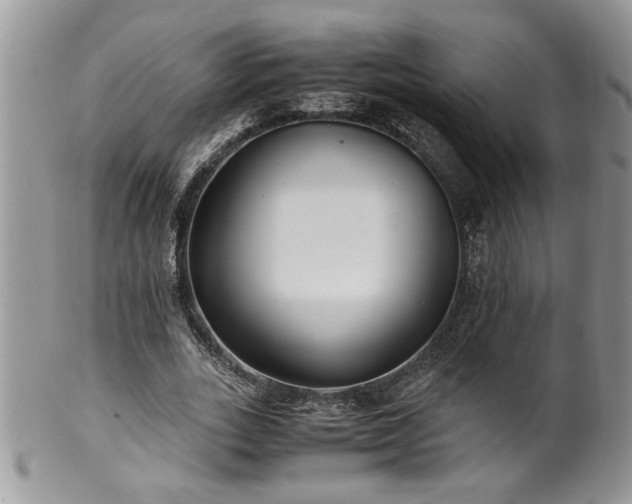 X0000100400727200806131013