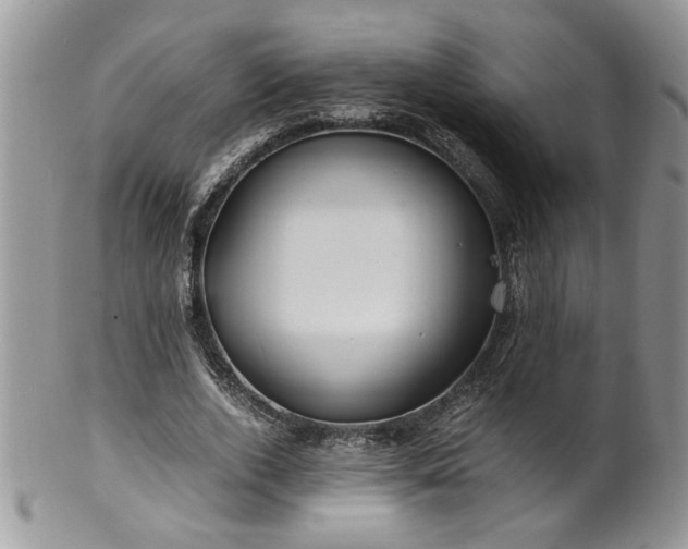 X0000100400728200806131013