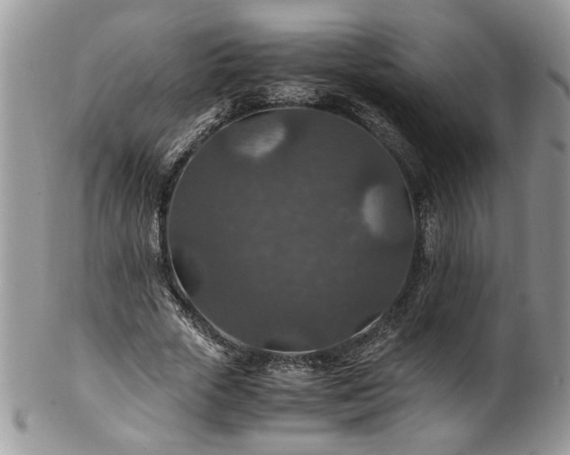 X0000100400729200806131013