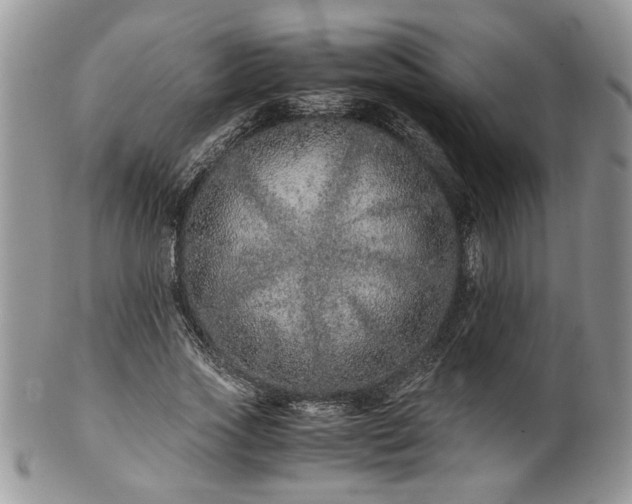 X0000100400733200806131013