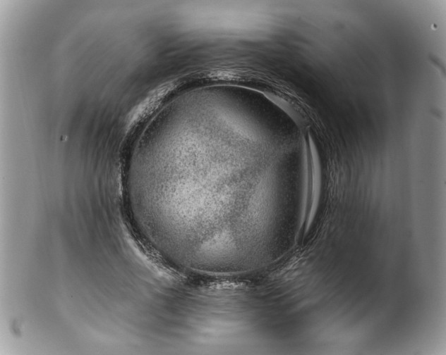 X0000100400734200806131013