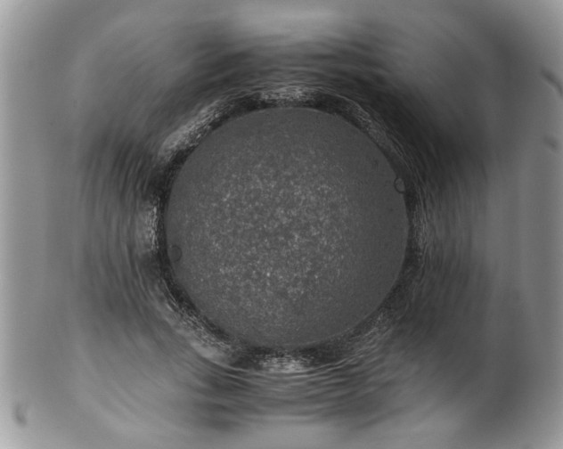 X0000100400735200806131013