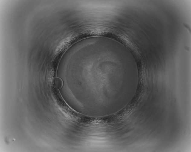 X0000100400736200806131013