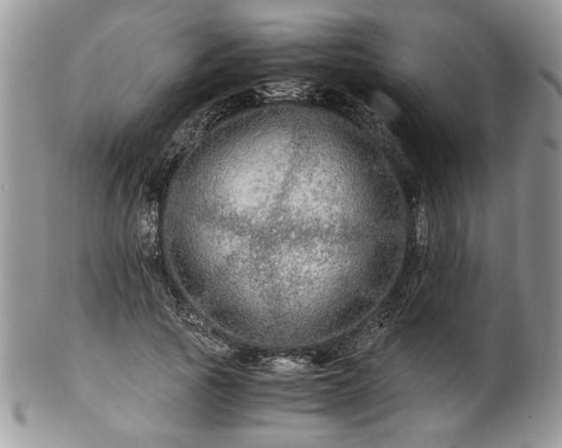 X0000100400737200806131013