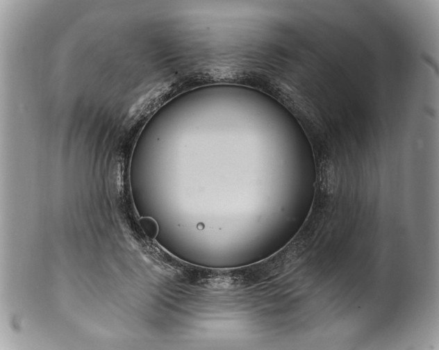 X0000100400740200806131013
