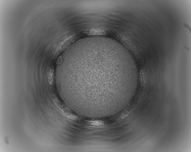 X0000100400741200806131013