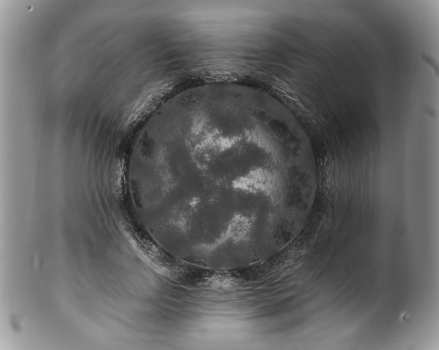 X0000100400742200806131013