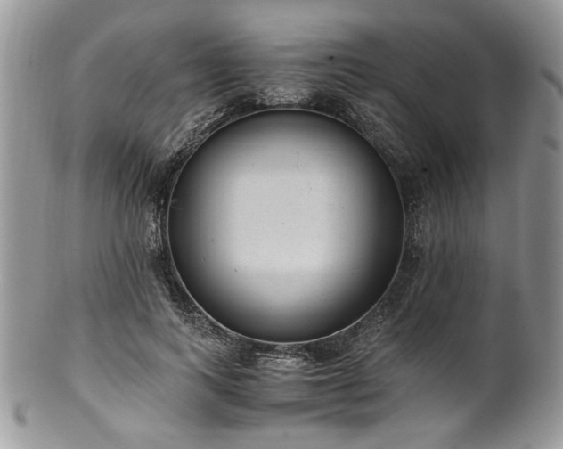 X0000100400743200806131013