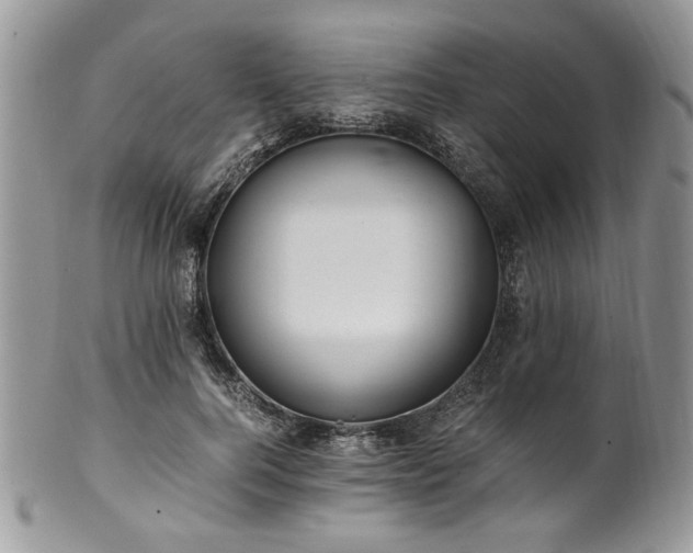 X0000100400744200806131013