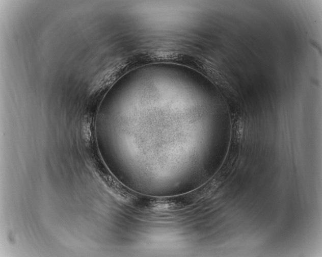 X0000100400746200806131013