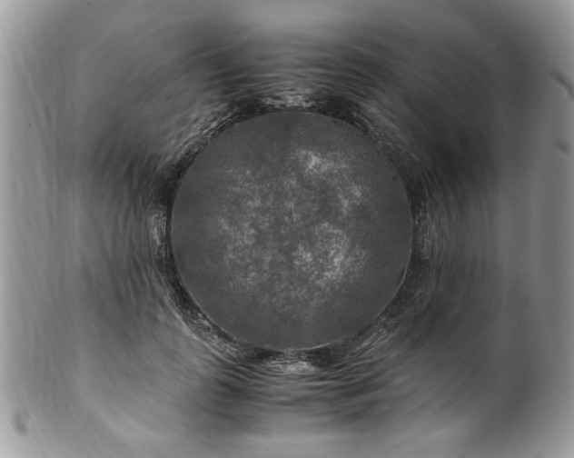 X0000100400747200806131013
