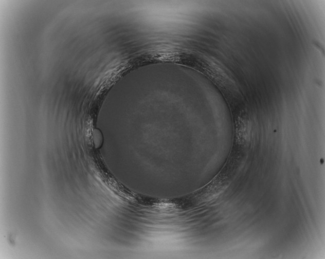 X0000100400748200806131013
