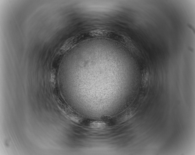 X0000100400749200806131013