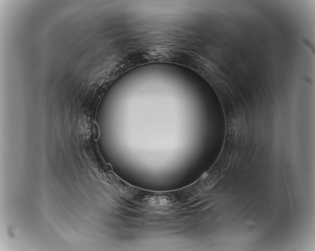 X0000100400751200806131013