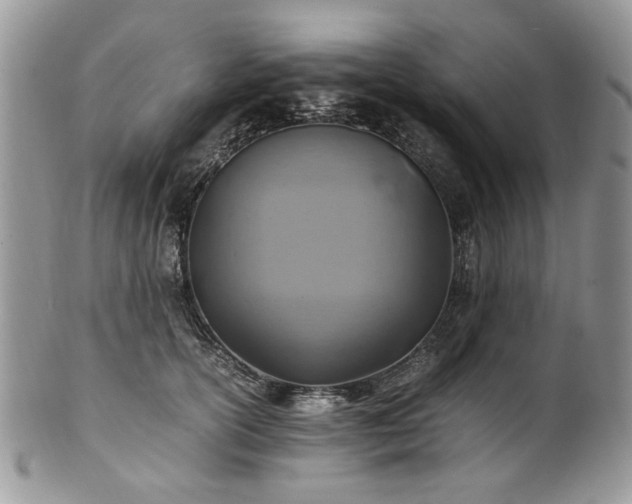X0000100400754200806131013