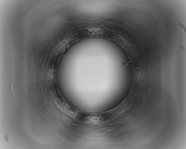X0000100400756200806131013