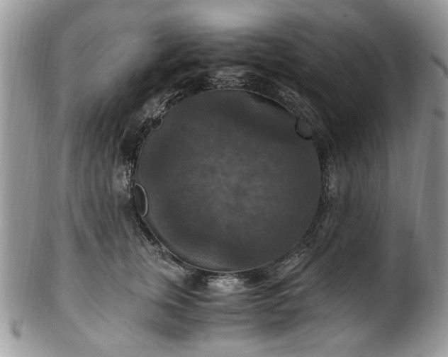 X0000100400759200806131013