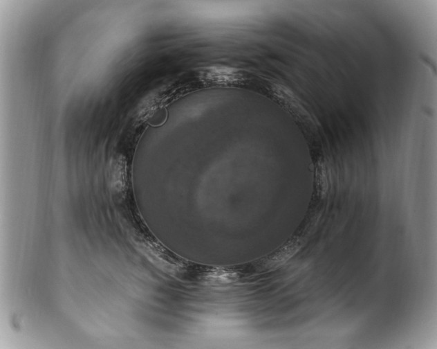 X0000100400760200806131013