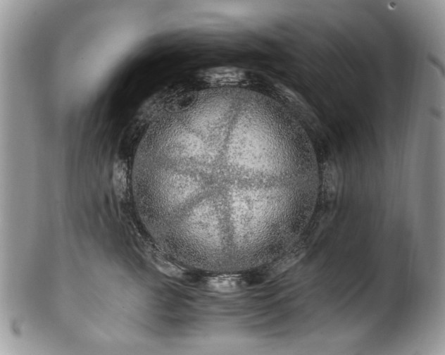 X0000100400761200806131013
