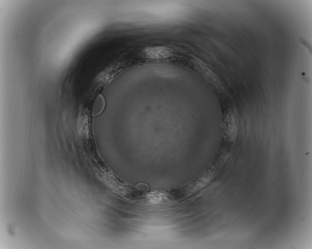 X0000100400762200806131013