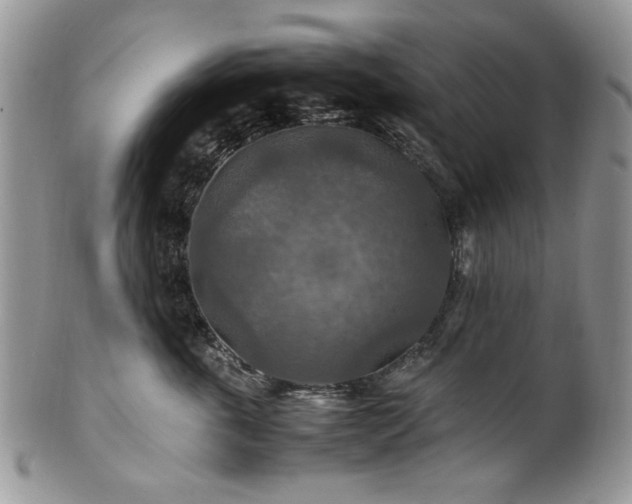 X0000100400763200806131013