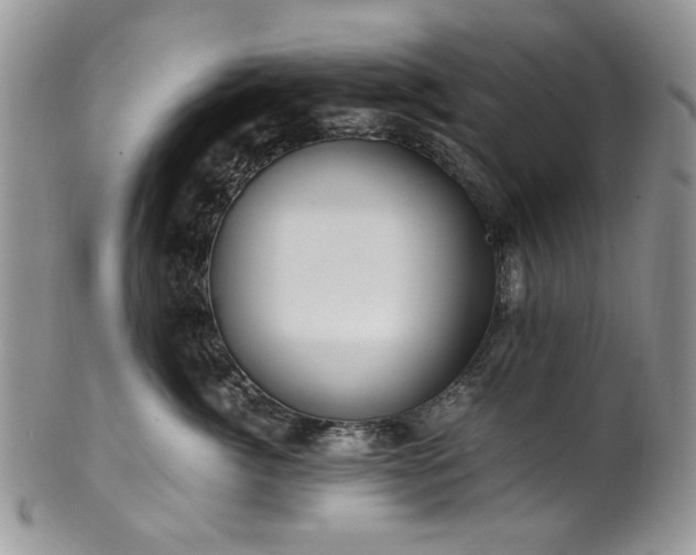 X0000100400764200806131013