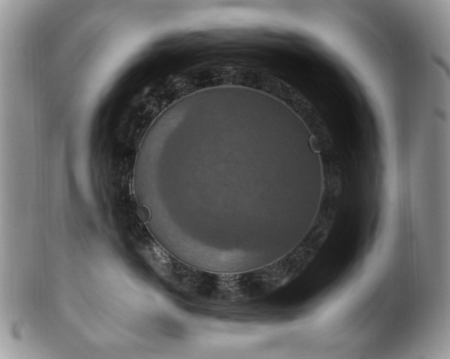 X0000100400766200806131013