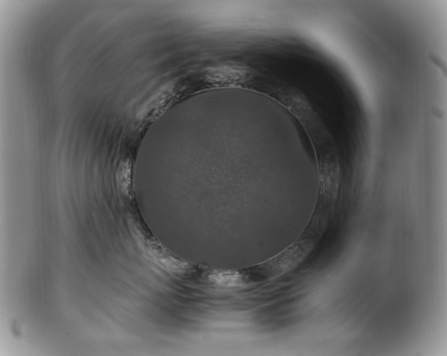 X0000100400767200806131013
