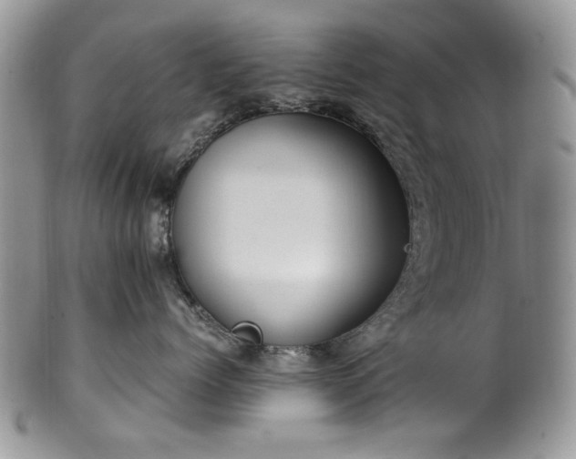 X0000100400768200806131013