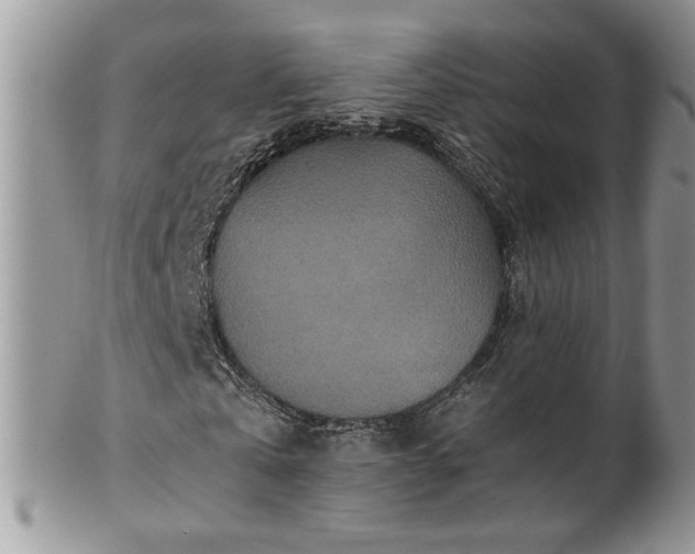 X0000100400769200806131013