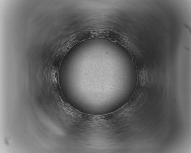 X0000100400770200806131013