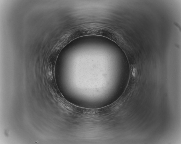 X0000100400771200806131013