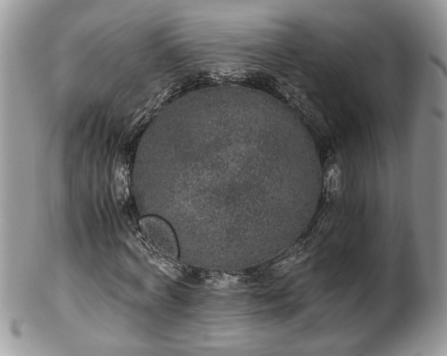 X0000100400772200806131013