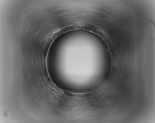 X0000100400773200806131013
