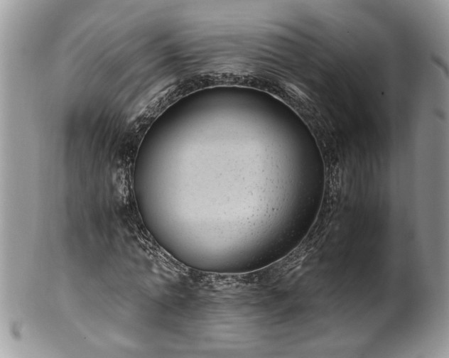 X0000100400774200806131013