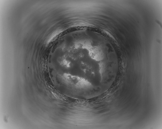 X0000100400775200806131013