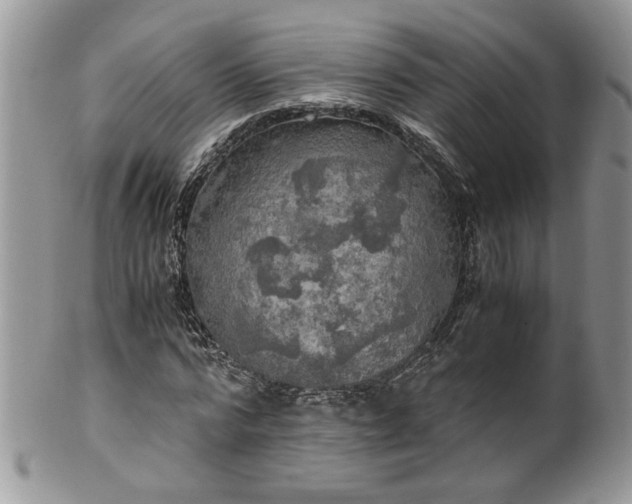 X0000100400776200806131013