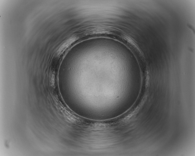 X0000100400777200806131013