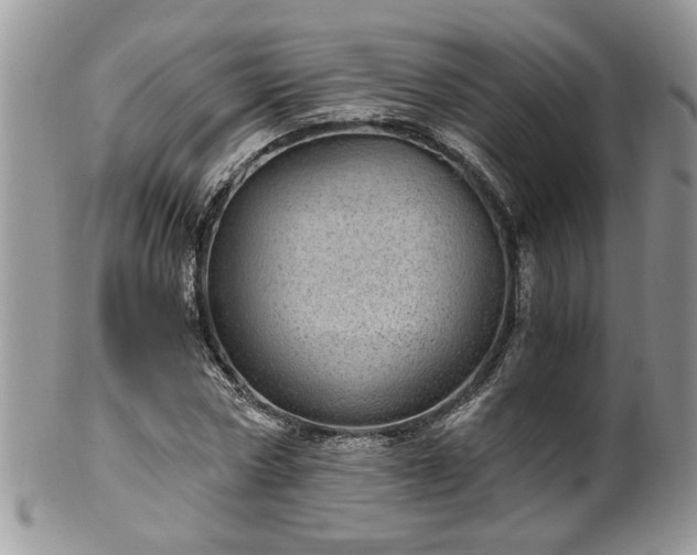 X0000100400778200806131013