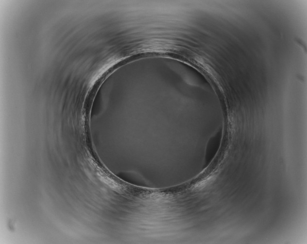 X0000100400779200806131013