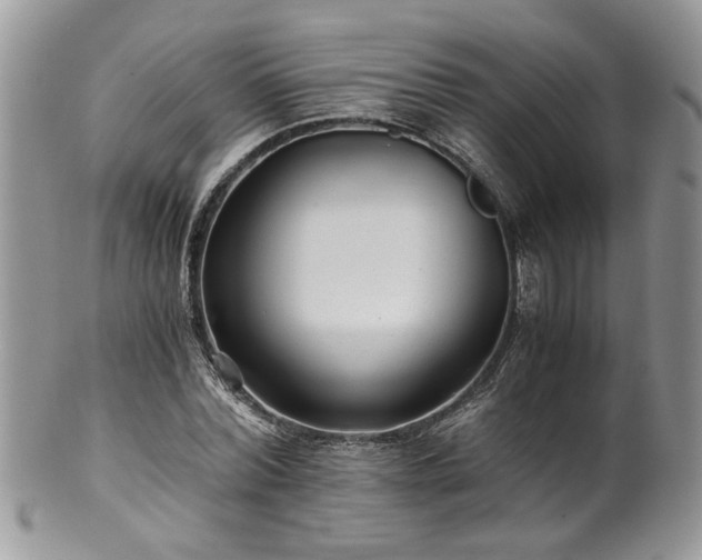 X0000100400780200806131013
