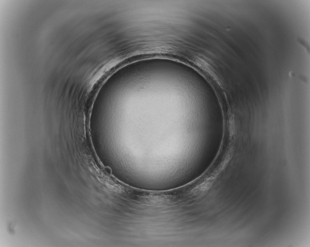X0000100400781200806131013