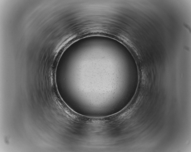 X0000100400782200806131013