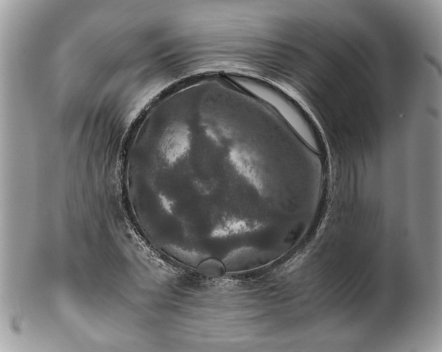 X0000100400783200806131013
