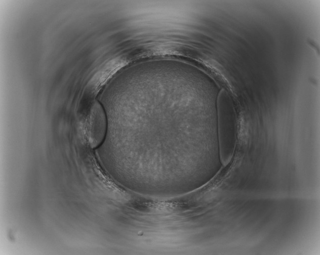 X0000100400785200806131012