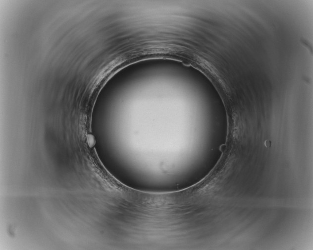 X0000100400786200806131012